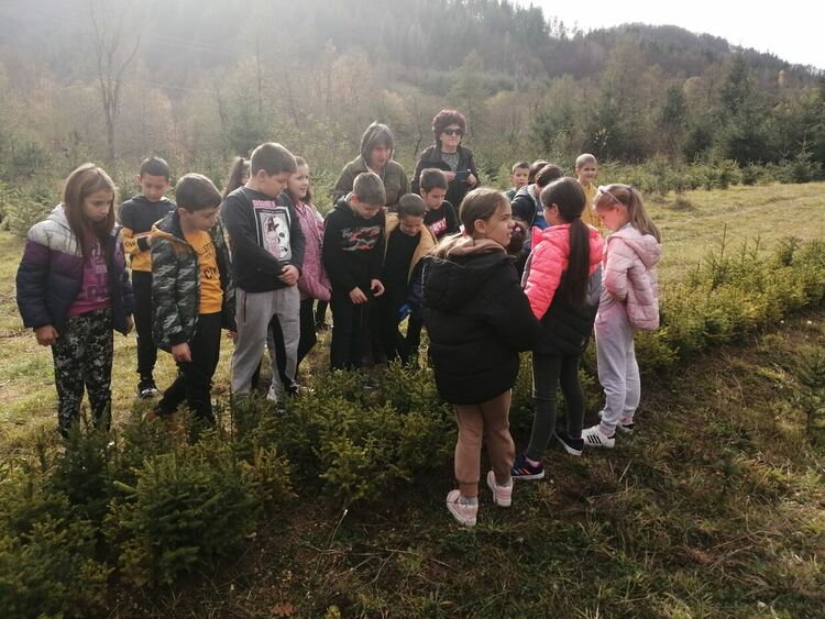 Ученици от Смолян видяха от къде идват коледните елхи и се включиха в кампанията "Залесявайки, променяме света!"