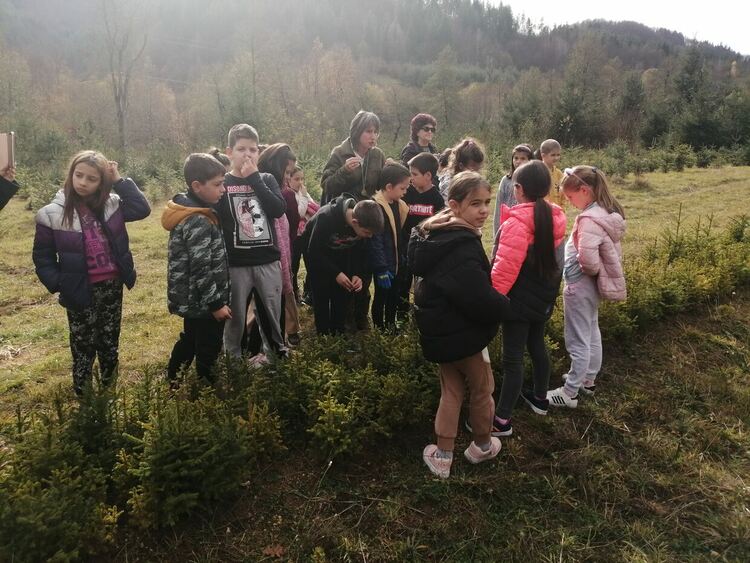 Ученици от Смолян видяха от къде идват коледните елхи и се включиха в кампанията "Залесявайки, променяме света!"