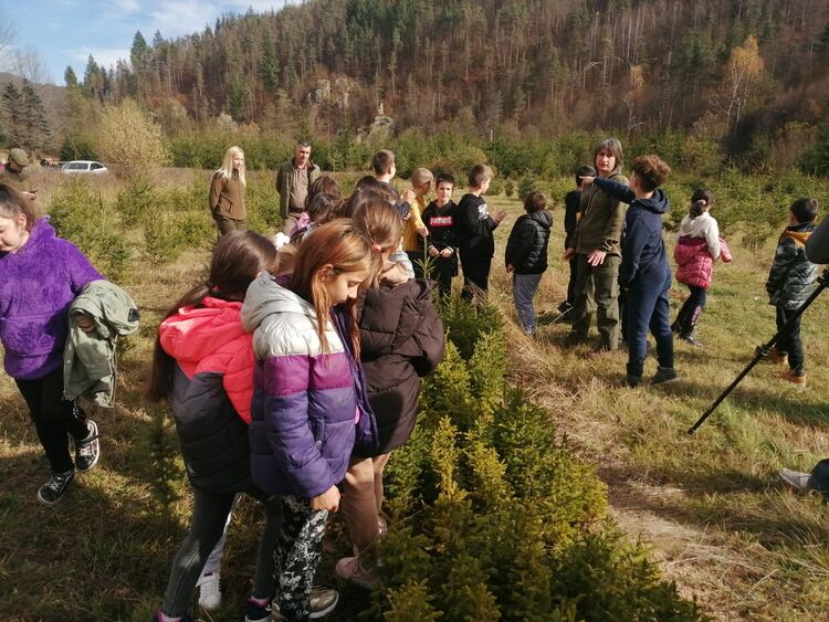 Ученици от Смолян видяха от къде идват коледните елхи и се включиха в кампанията "Залесявайки, променяме света!"