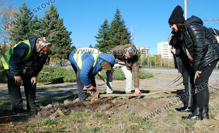 Акция по засаждане на дръвчета в Хасково в Международния ден без тютюнопушене