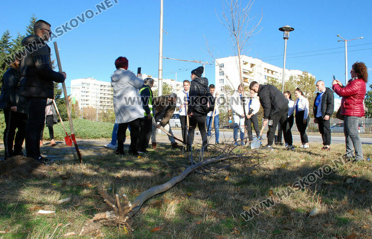 Акция по засаждане на дръвчета в Хасково в Международния ден без тютюнопушене