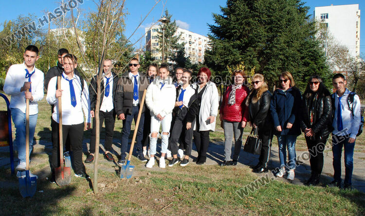 Акция по засаждане на дръвчета в Хасково в Международния ден без тютюнопушене