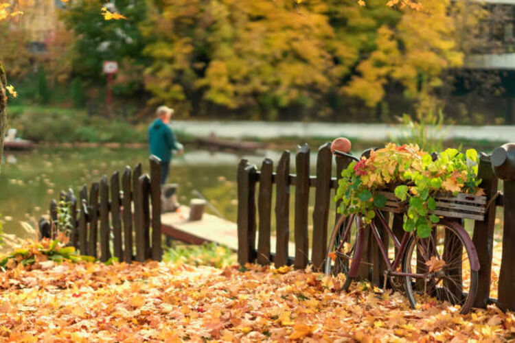 Студено и ветровито време днес