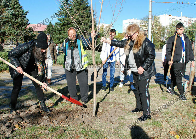 Акция по засаждане на дръвчета в Хасково в Международния ден без тютюнопушене