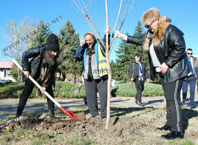 Акция по засаждане на дръвчета в Хасково в Международния ден без тютюнопушене