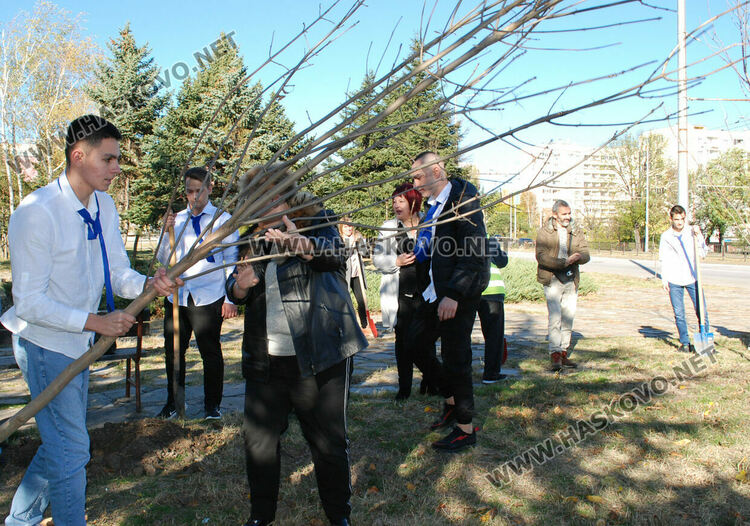Акция по засаждане на дръвчета в Хасково в Международния ден без тютюнопушене
