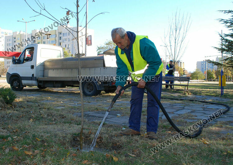Акция по засаждане на дръвчета в Хасково в Международния ден без тютюнопушене