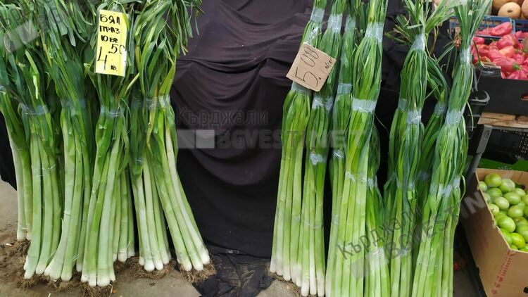 Белият праз е хитът на пазара в Кърджали,кърджалийци се запасяват за зимата