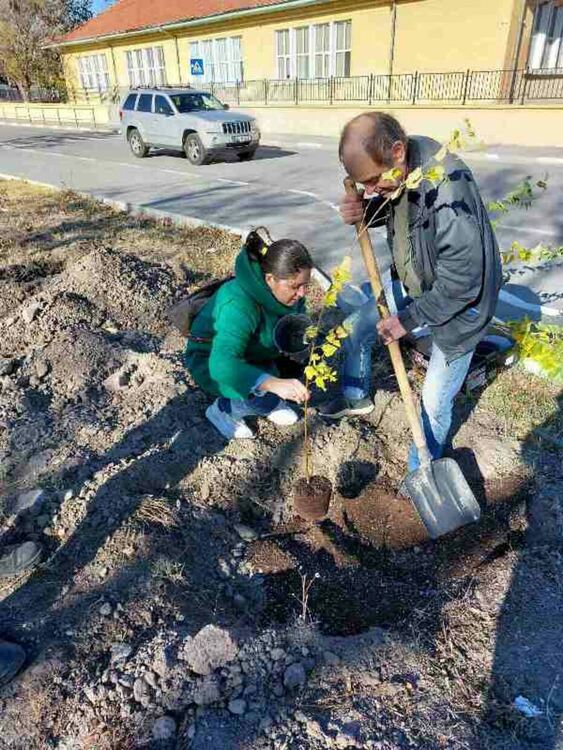 Служители на Община Първомай проведоха залесителна кампания
