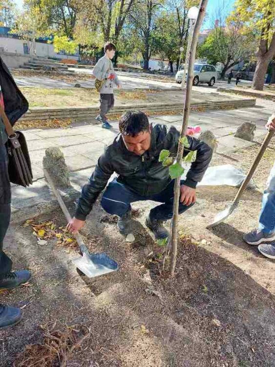Служители на Община Първомай проведоха залесителна кампания
