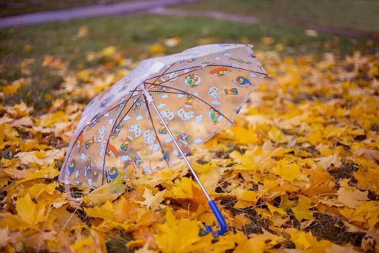 Облачно и студено в четвъртък