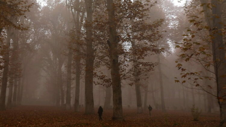 Петък започва с мъгли, а след това - дъжд