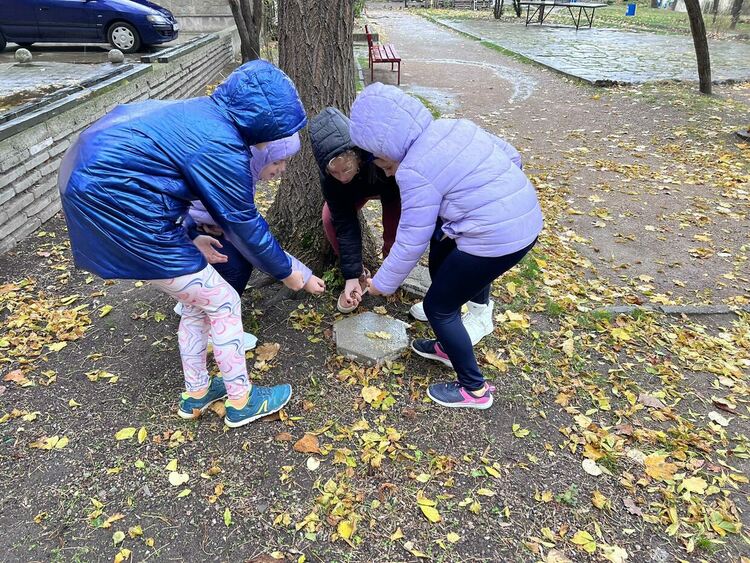 Ученичка от Хасково с акция за набиране на средства за изхранване на бездомни животни