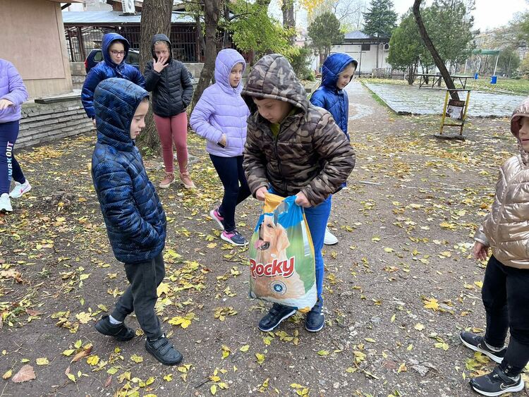 Ученичка от Хасково с акция за набиране на средства за изхранване на бездомни животни