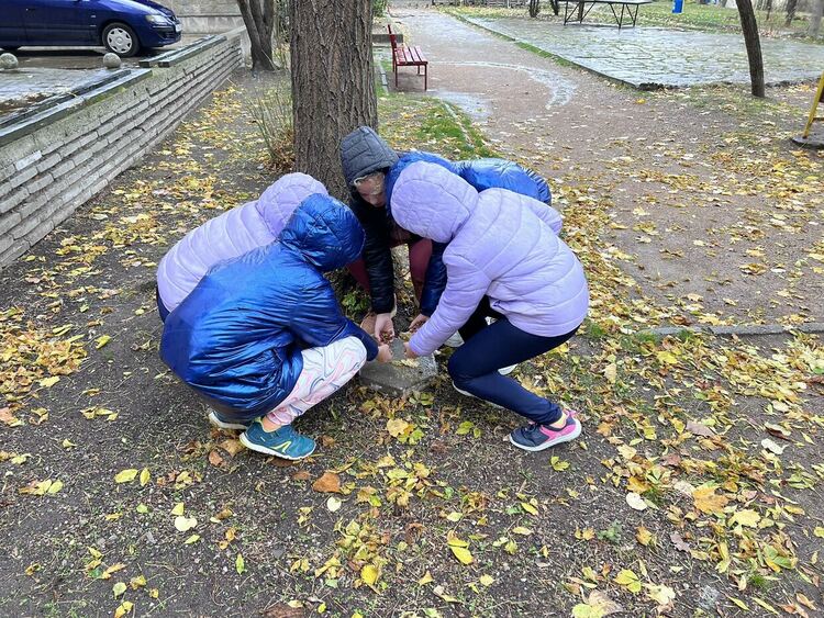 Ученичка от Хасково с акция за набиране на средства за изхранване на бездомни животни
