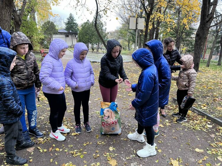 Ученичка от Хасково с акция за набиране на средства за изхранване на бездомни животни