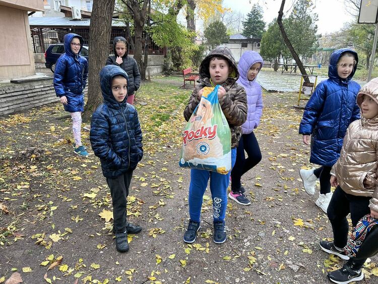 Ученичка от Хасково с акция за набиране на средства за изхранване на бездомни животни