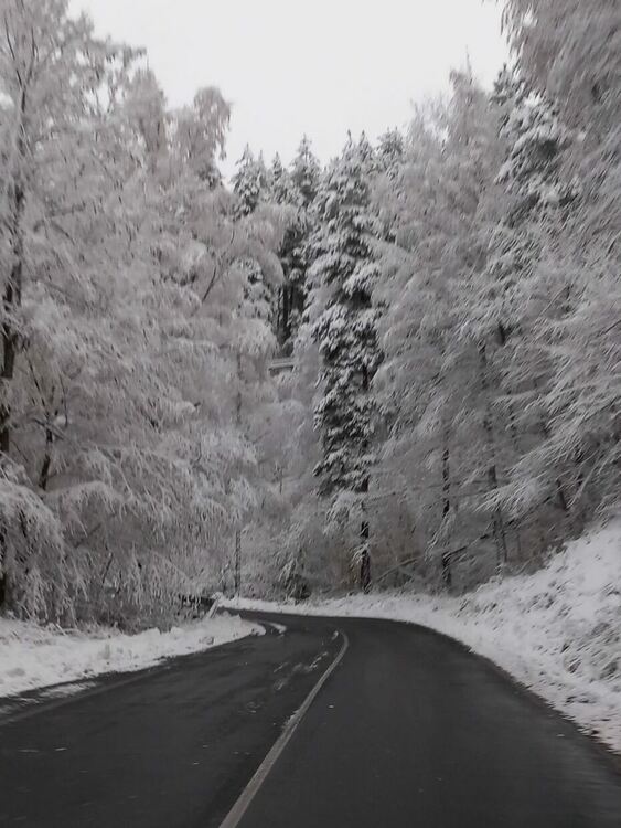 Никола Чанев докладва на премиера:Пътищата в областта са чисти от сняг!