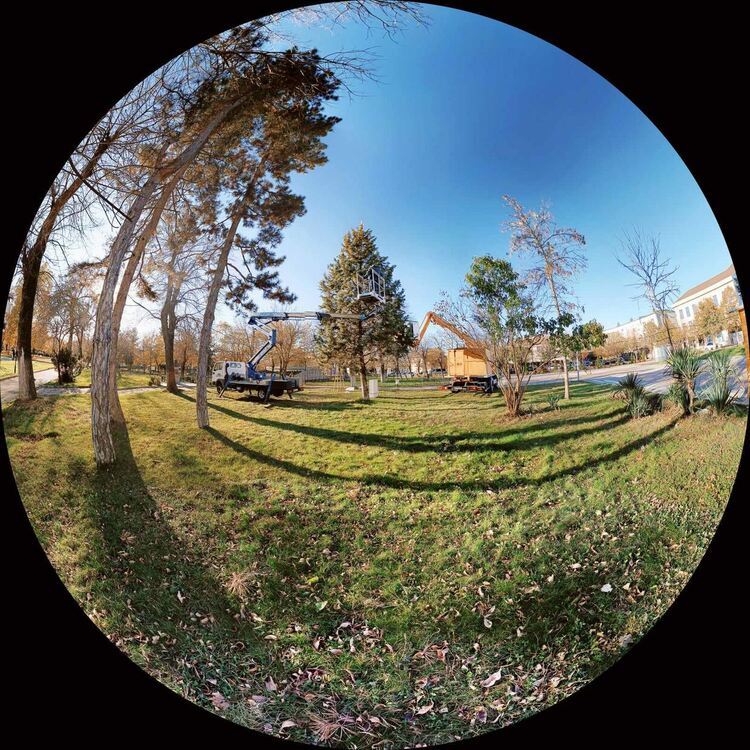 Празничната елха в Момчилград ще грейне на 1 декември