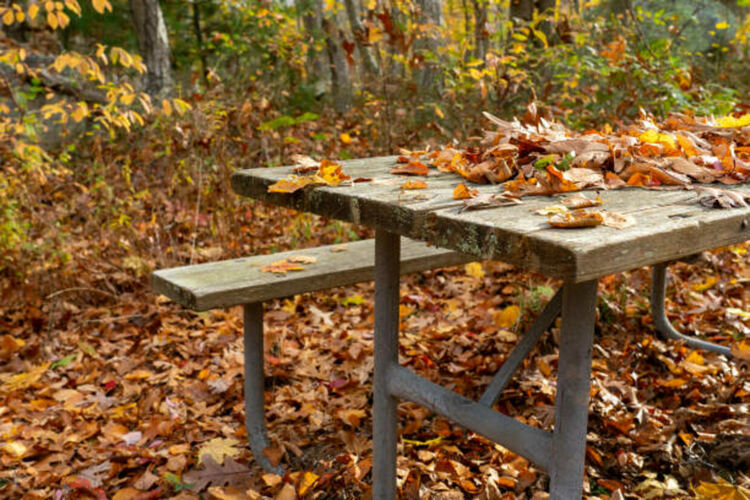 Слънчево и студено днес