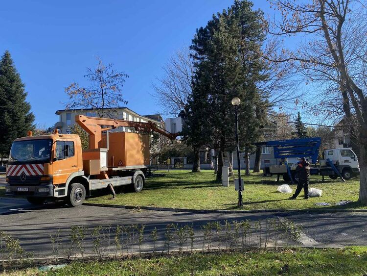 Празничната елха в Момчилград ще грейне на 1 декември