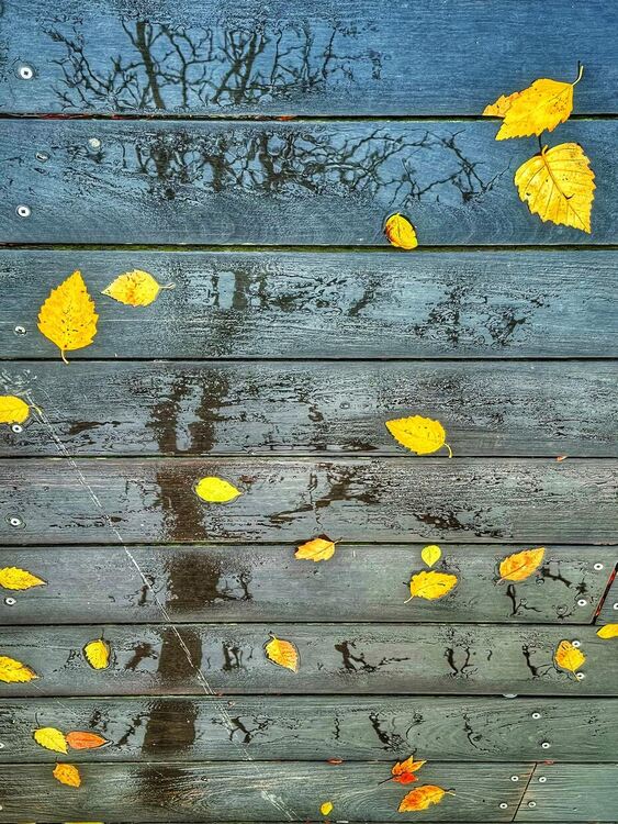 Облачно, ветровито и  с превалявания от дъжд следобед в Хасковско
