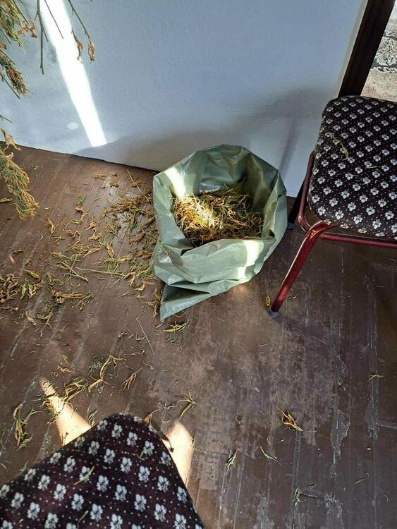 Откриха над 5 кг марихуана в две къщи на познайник на полицията