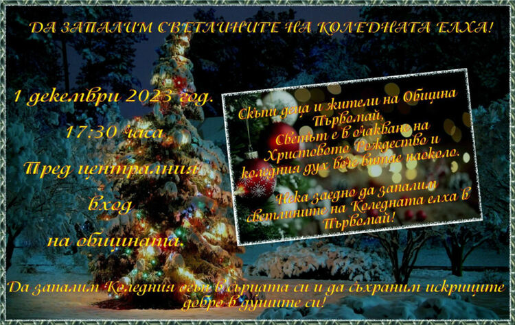 На 1 декември палят светлините на коледната елха