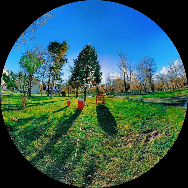 Светлините на празничната елха в Момчилград ще бъдат запалени в петък, 1 декември