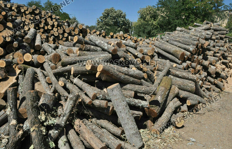 Над 12 хил. души от Хасковска област с подпомагане за отопление, включват нова целева група през декември