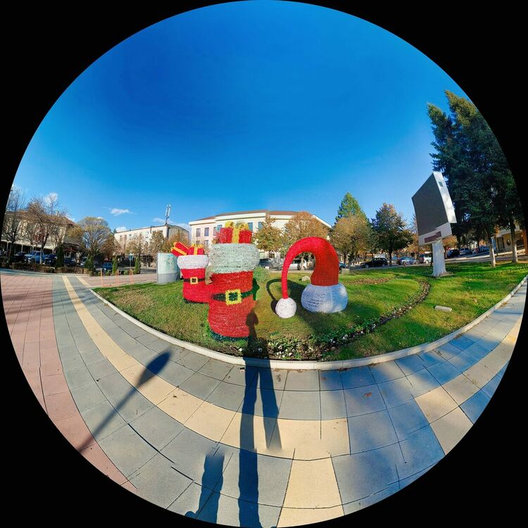 Светлините на празничната елха в Момчилград ще бъдат запалени в петък, 1 декември