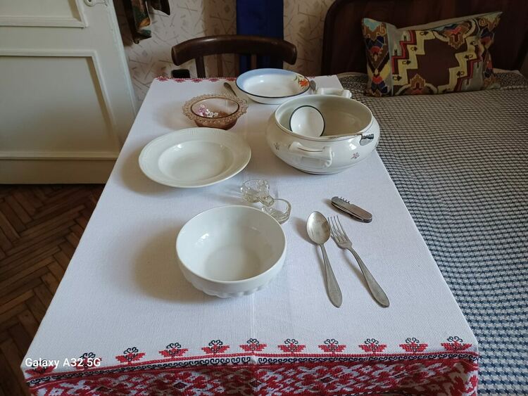 На рождената дата на проф. Недялка Симеонова Хасковският музей представя филм за нея