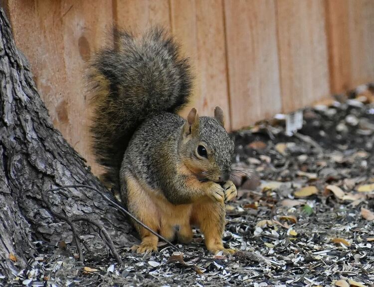 Слънчево в петък с температури до 15 градуса