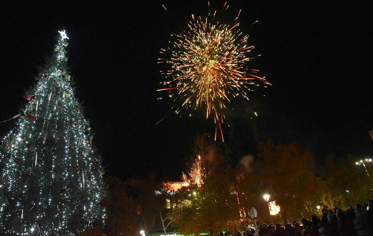 Грейна Коледната елха в Харманли