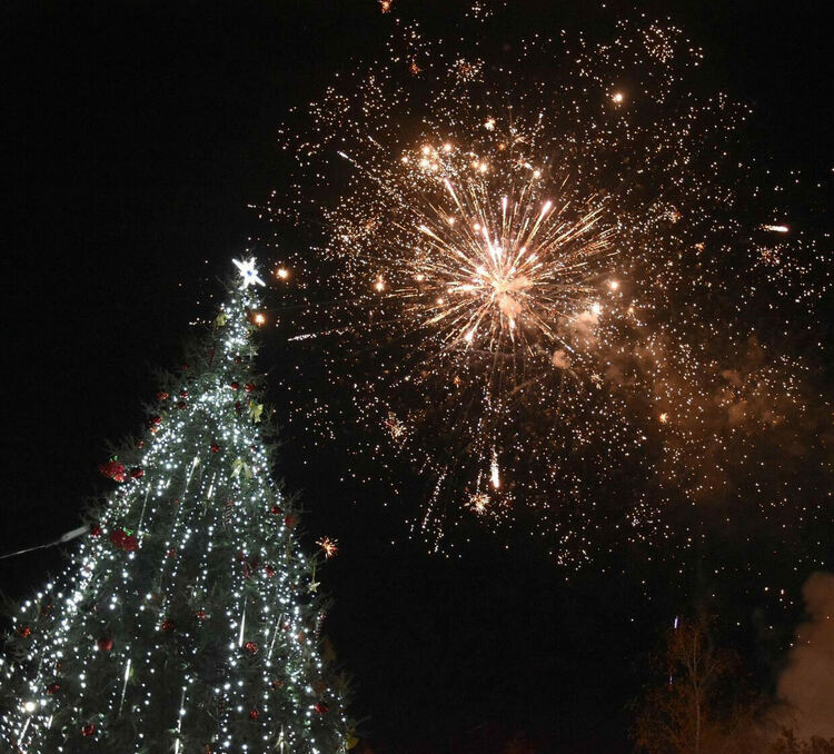 Грейна Коледната елха в Харманли