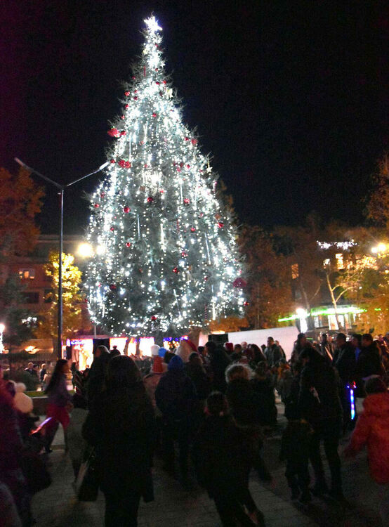 Грейна Коледната елха в Харманли