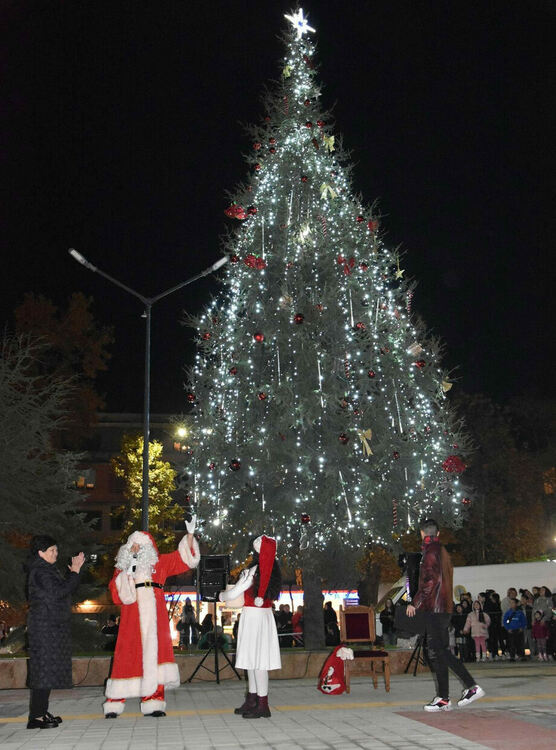 Грейна Коледната елха в Харманли