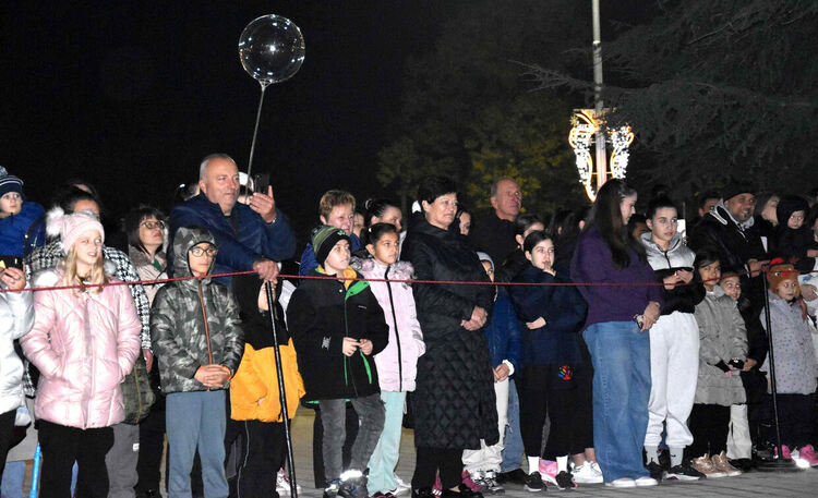 Грейна Коледната елха в Харманли