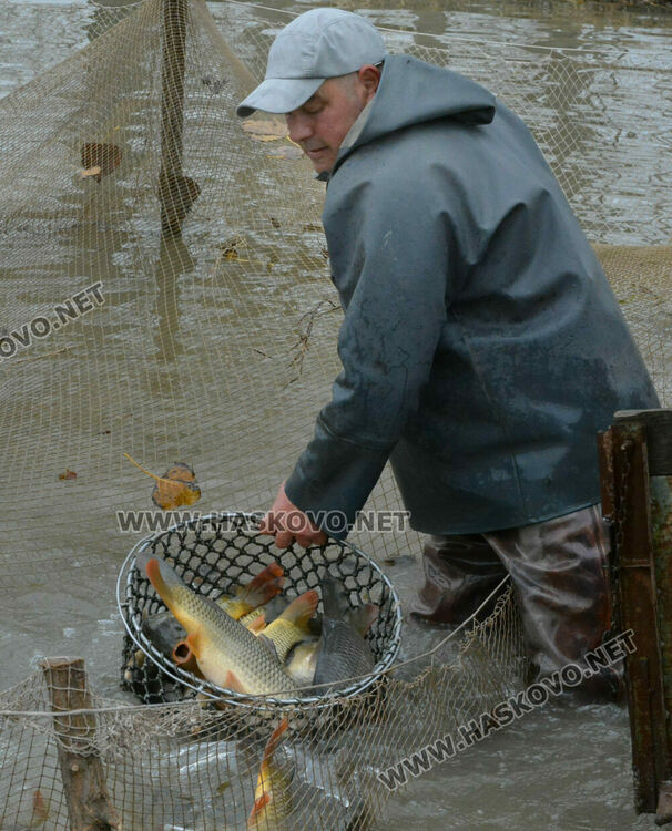 Опитният рибар Георги Петров: Двулетка шаран е най-идеалният вариант за Никулденската трапеза