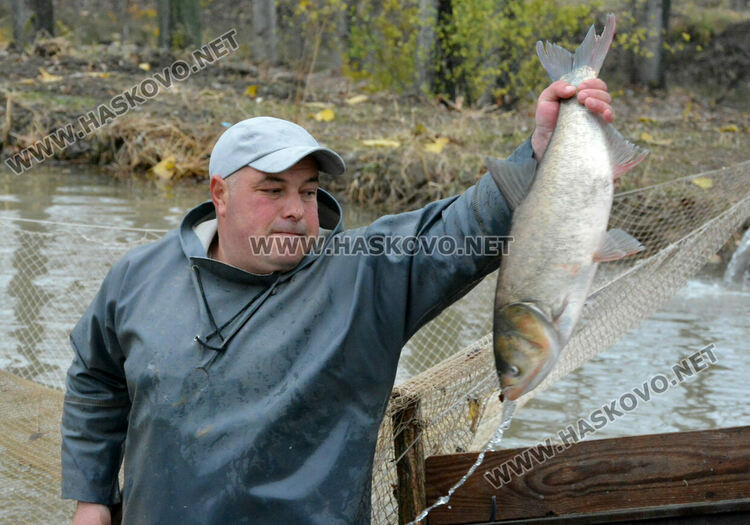 Опитният рибар Георги Петров: Двулетка шаран е най-идеалният вариант за Никулденската трапеза