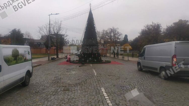       Елхата в Кърджали грейва в сряда в 17,30 часа