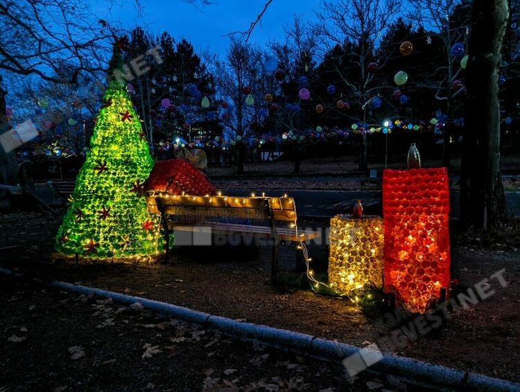 Коледна украса грейна на Гаричката в парк "Простор"