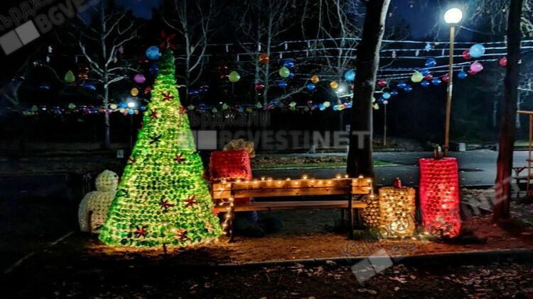 Коледна украса грейна на Гаричката в парк "Простор"