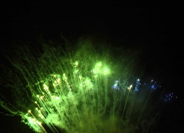 Засия коледната елха на Асеновград 