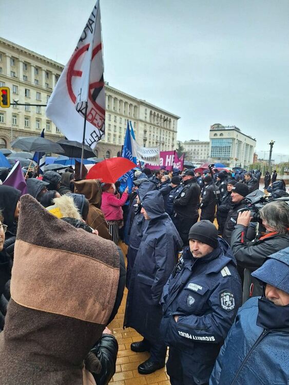 Актрисата Иванка Шекерова: Видях срама в очите на полицая, че не е от страната на културата, а е задължен да я избутва