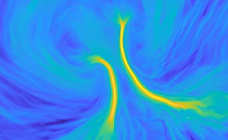 Снимка на развитието на ембриони на пилета близнаци. Жълтите ивици маркират бъдещите гръбначни мозъци.