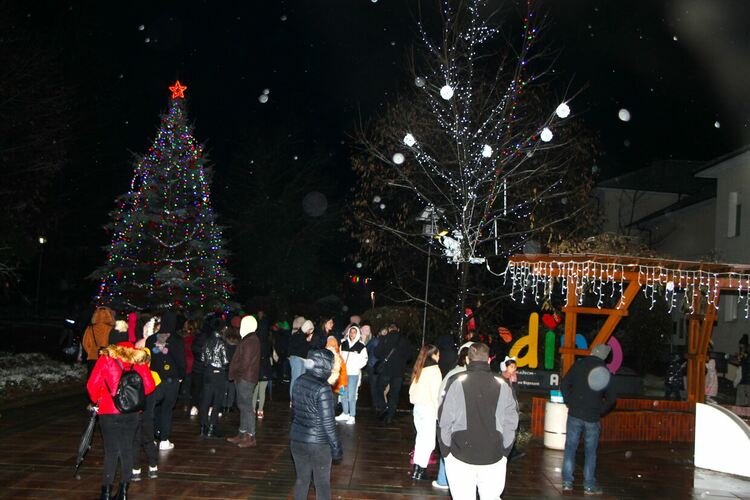 Грейнаха светлините на коледно-новогодишната елха в Ардино