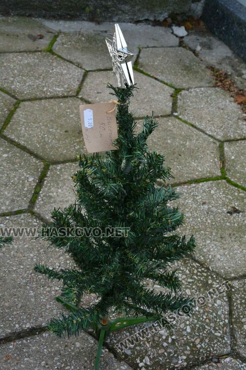 Първите живи елхи вече са на пазара в Хасково