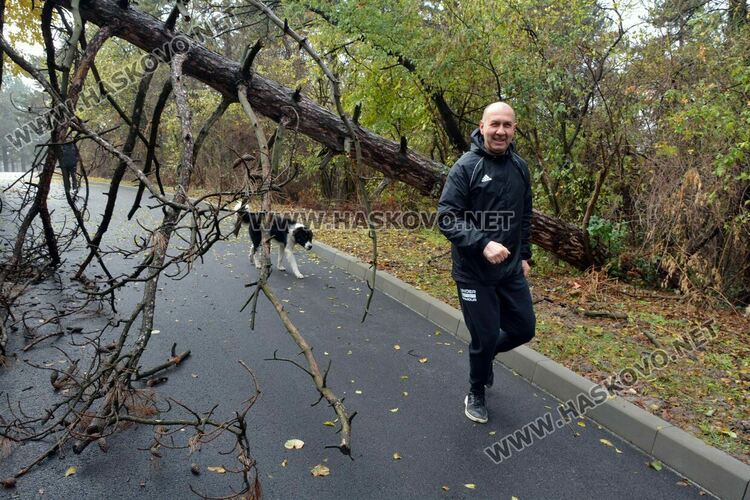 Огромен бор падна върху оградата на хасковския стадион