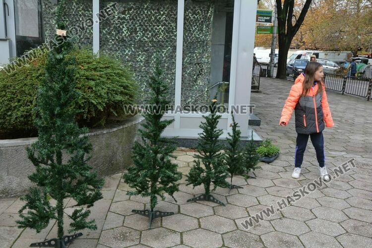 Първите живи елхи вече са на пазара в Хасково